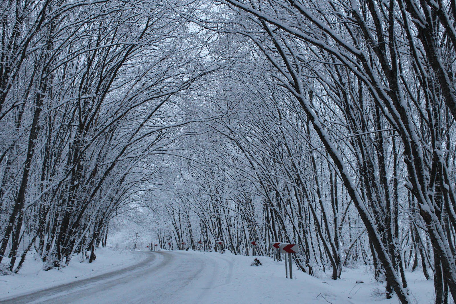  Guba & Khinalig Tour